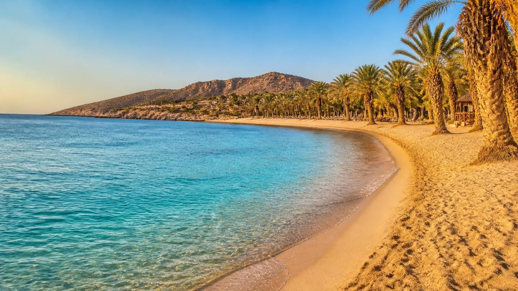 explorez la magnifique plage de vai, un joyau naturel unique avec sa forêt de palmiers luxuriants, ses eaux turquoise et son ambiance paradisiaque idéale pour les amoureux de la nature et les voyageurs en quête d'évasion.