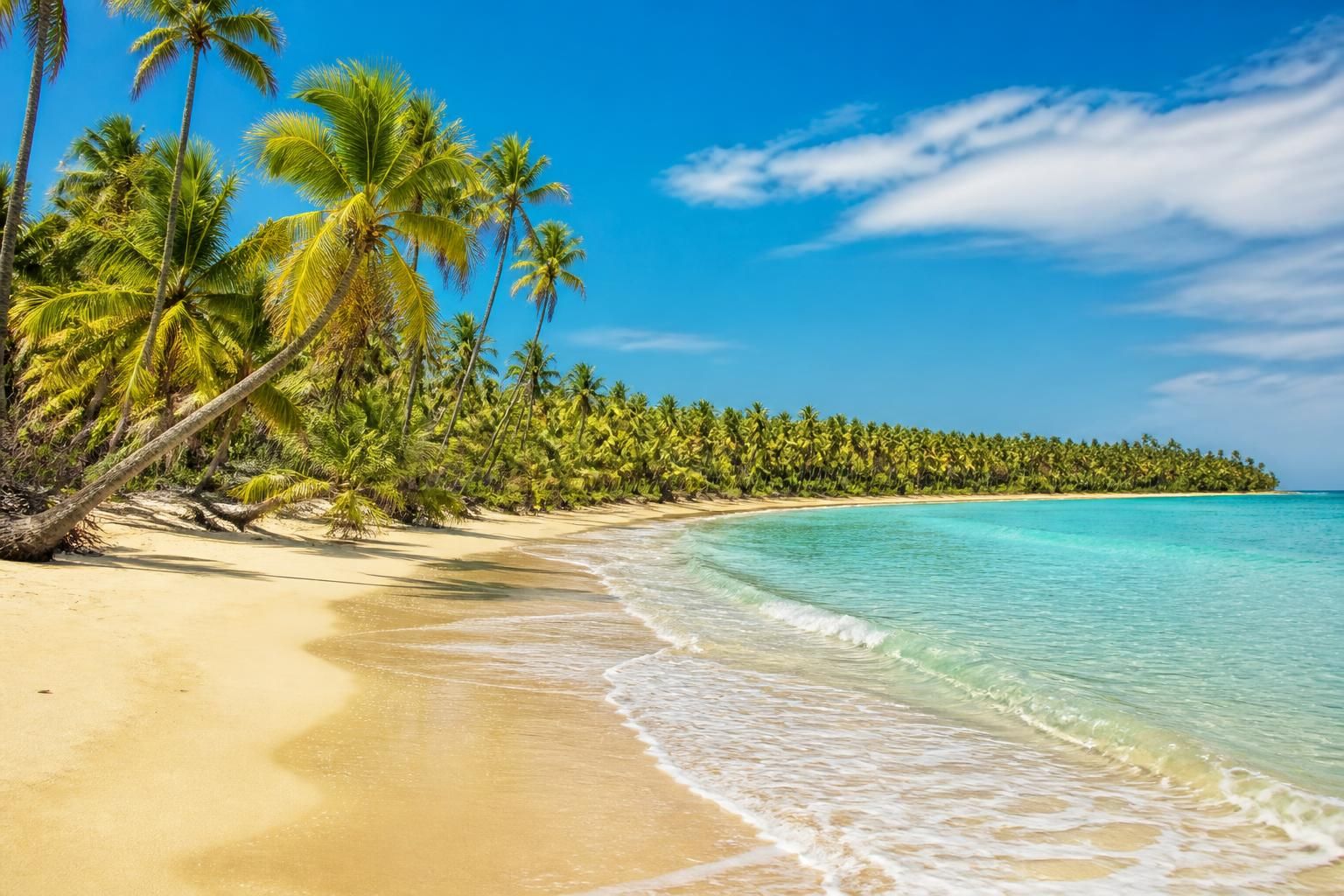 explorez la plage de vai, un joyau naturel exceptionnel avec son sable doré et sa palmeraie unique, idéale pour une escapade inoubliable au cœur de la nature.