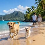 Martinique : Découvrez les plages où vos chiens sont les bienvenus